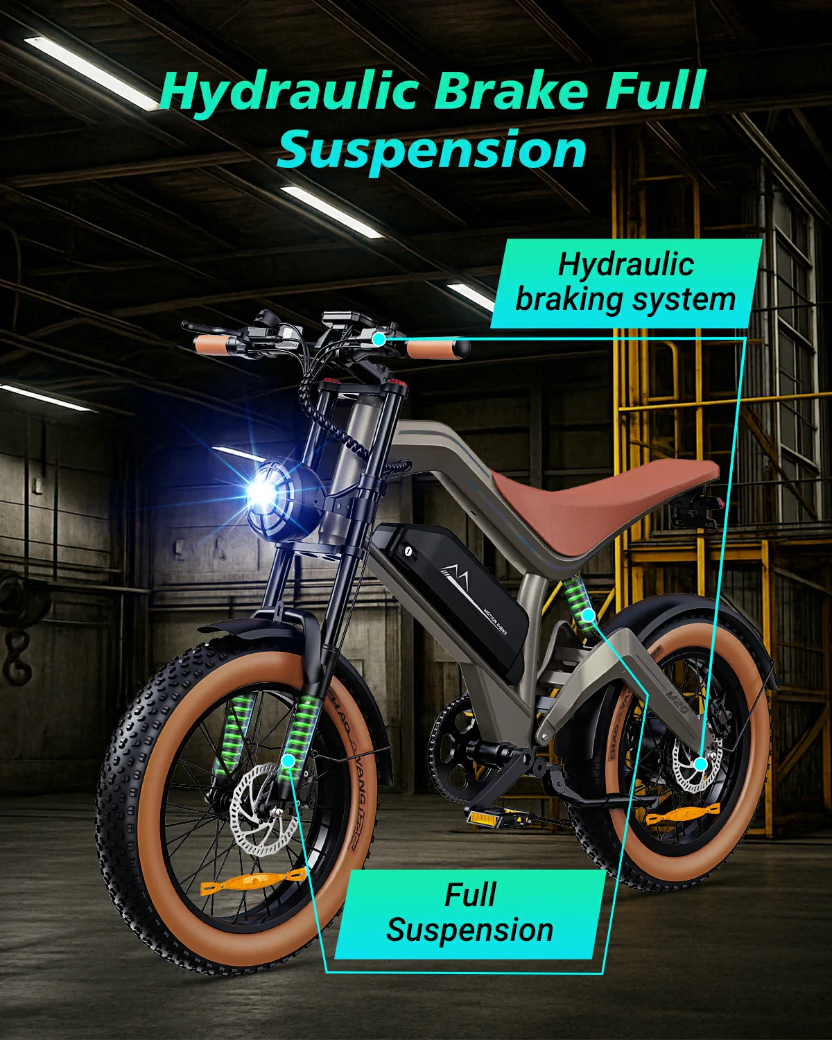 DYU M20 Lite All-Terrain Long-Range Electric Bike - Image 6